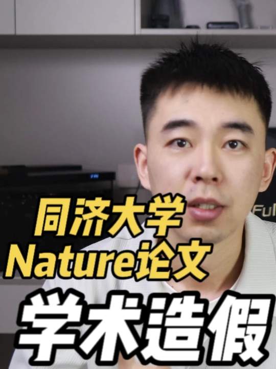 同济大学学术造假
